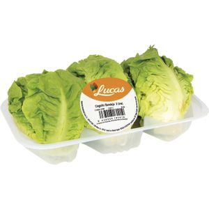 Cogollos 3 Unidades Peso Aprox. 330  Gr. 0,33 Kg