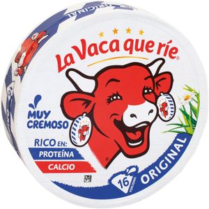 Queso Fundido 16 Porciones 250 Gr