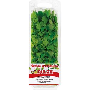 Cilantro Bandeja 20 Gr