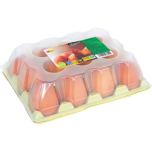 Huevos M Medianos Docena 1 Dc