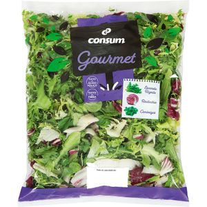 Ensalada Gourmet Bolsa 175 Gr