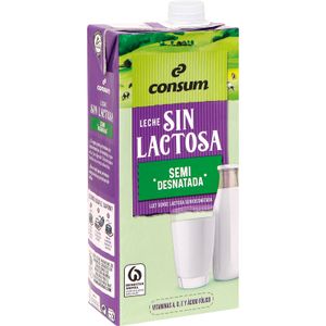 Leche sin Lactosa Semidesnatada Brik 1 L