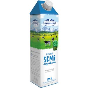 Leche Semidesnatada Brik 1 L