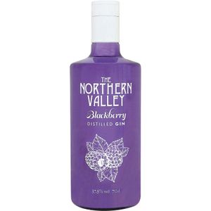 Ginebra Blackberry 0,7 L