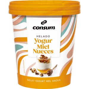 Tarrina Yogur Miel Nueces 350 Gr